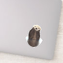 Search for sea otters stickers Adorable