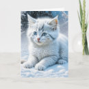Search for cute kitten thinking of you cards Animals
