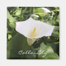 Search for calla lily magnets Photography