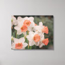 Search for daffodil art Bouquet