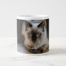 Search for ragdoll cat mugs Pet