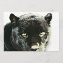 Recherche de panthère invitations Jaguar