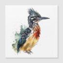 Search for desert bird cards Roadrunner