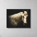 Recherche de cheval blanc art Ouest