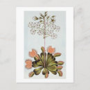 Search for trappings postcards Botanical