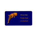 Search for monsters return address labels Orange