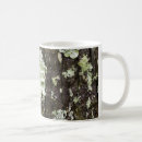 Search for old tree mugs Forest