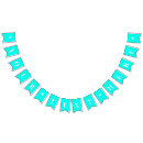 Search for turquoise bunting flags Party