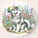 Search for huskies barware Pets