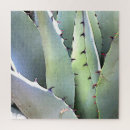 Search for cactus plant puzzles Plants