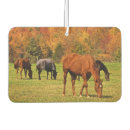 Search for horse car air fresheners Equine