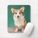 Recherche de corgi tapis souris Animal de compagnie