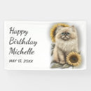 Search for cat banners Kitten