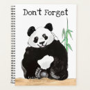 Search for panda office supplies Bears