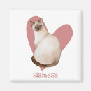 Recherche de chats siamois magnets Amoureux des chats