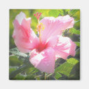 Recherche de goutte de pluie magnets Floral