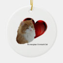Search for long haired cat ornaments Maine coon
