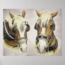 Recherche de cheval trait posters Peinture