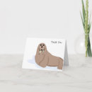 Search for walrus cards Ocean