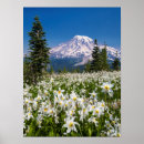 Search for alpine flower posters Blue