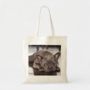 Search for dog napping accessories Animal