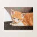 Search for crazy cat lady puzzles Kitty