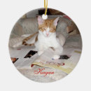 Search for foster care ornaments Adopted