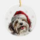 Search for havanese ornaments Cute