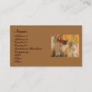 Recherche de cat photographie Animal
