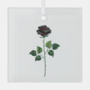 Recherche de bourgeonnement ornements Rose