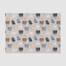 Search for dog paw print tissue paper Pets