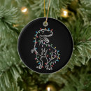 Search for dinosaurs ornaments Dinosaur christmas