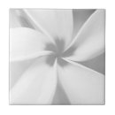 Search for black and white photo tiles Floral