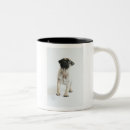 Search for cute pug puppy mugs Pet