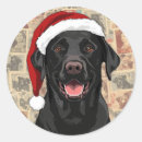 Search for lab stickers Watercolor