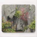 Search for bonsai mousepads Asia