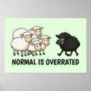 Search for black sheep posters Funny