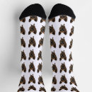 Recherche de chat chaussettes Photo d'animal de compagnie
