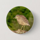 Search for crown buttons Wildlife