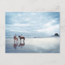 Search for horse riding postcards Romance
