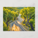 Search for olive grove Nature