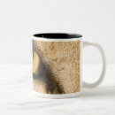 Recherche de parc kruger tasses L'afrique