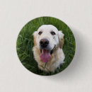 Recherche de souriant badges Chiot