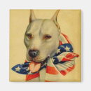 Search for american bully posters Breed