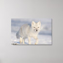 Search for lagopus art Mammal