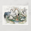Recherche de grue cartes postales Cigogne