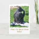 Search for funny chimp cards Animals