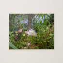 Recherche de grenouille puzzles Mignon