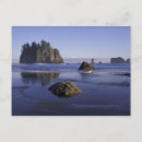 Search for olympic national park postcards Coast