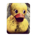 Search for bath time kitchen dining Duck
